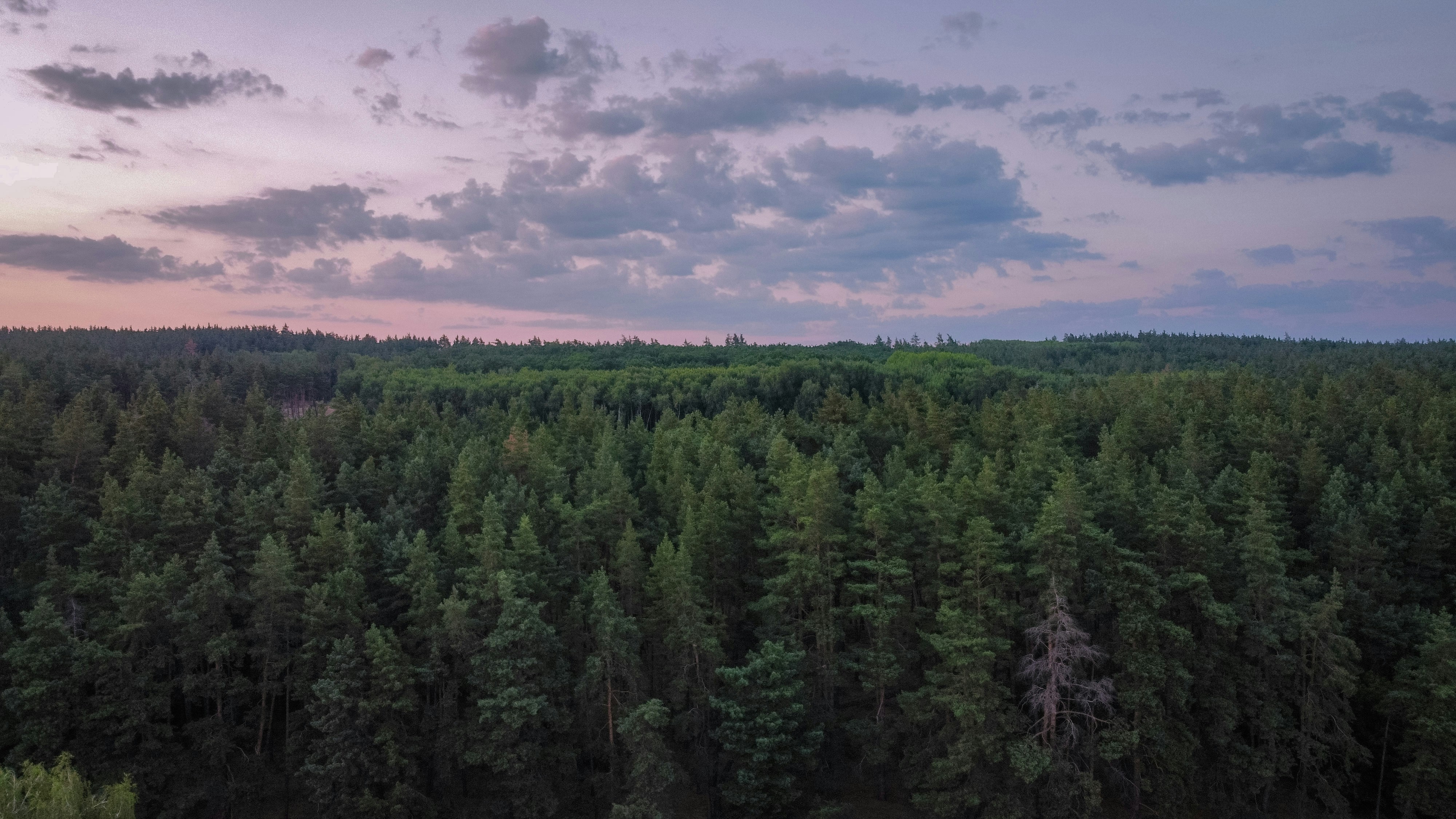 Photo by create4eyes