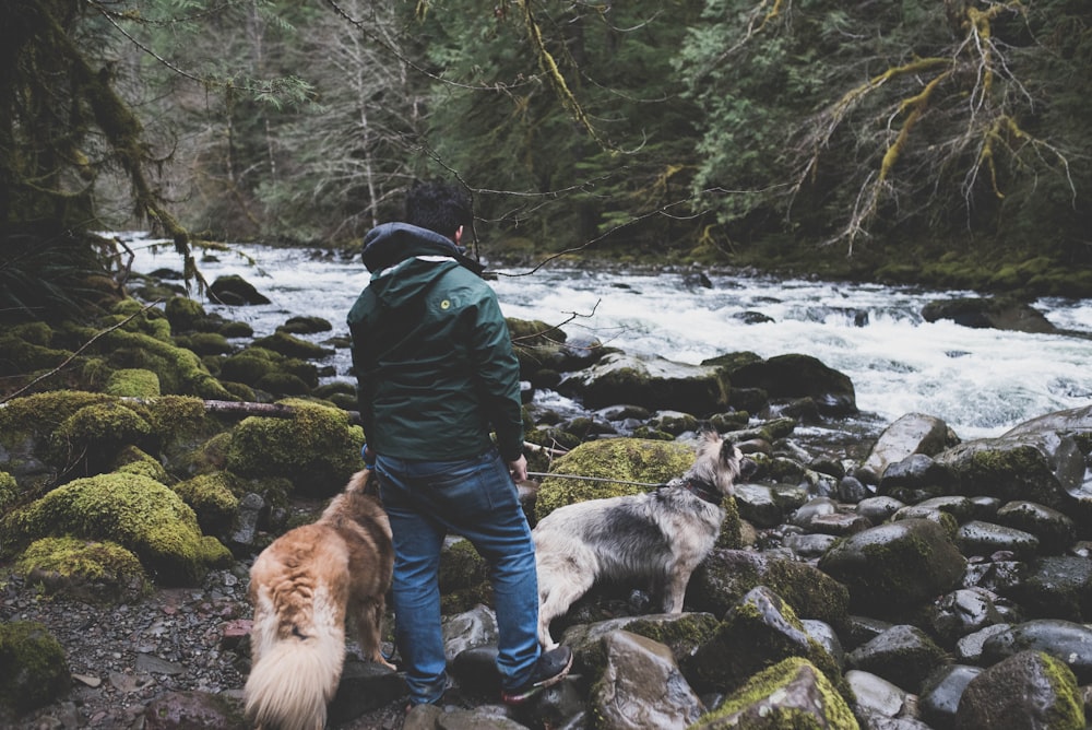 man in black jacket and blue denim jeans standing on rocky shore with dog during daytime