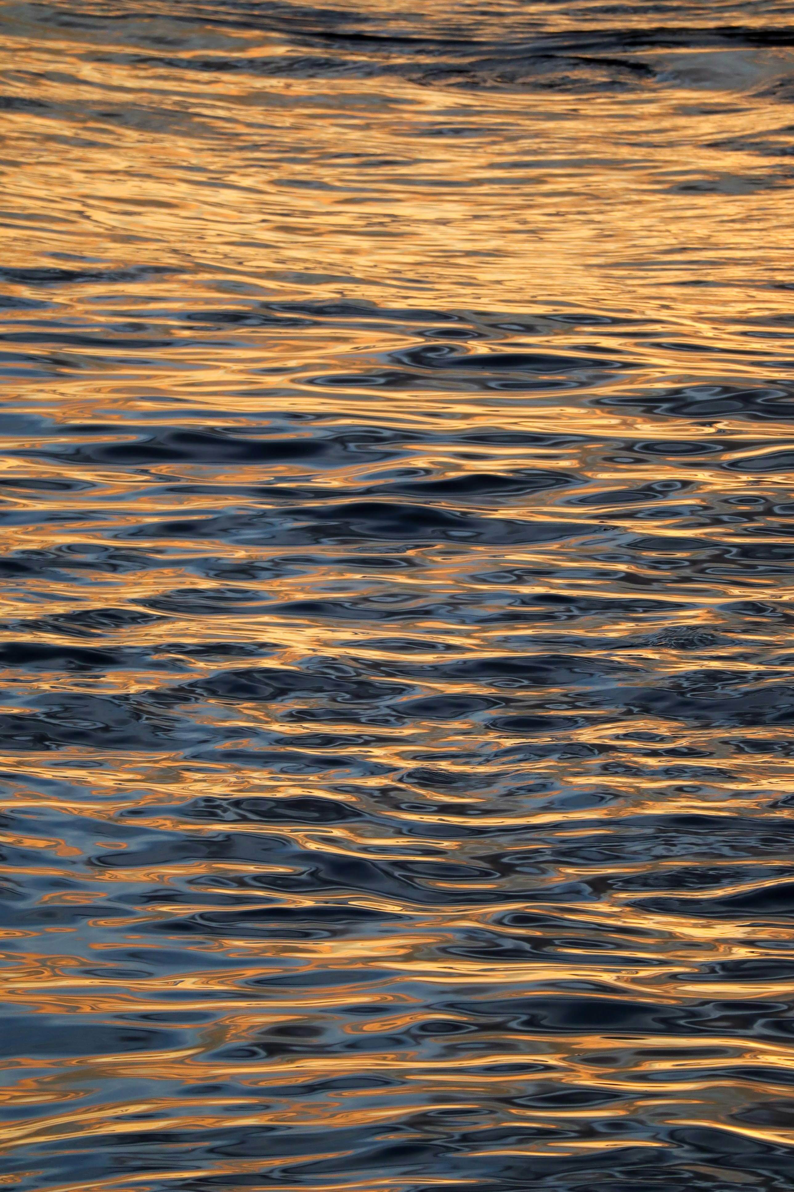 Photo by little_plant