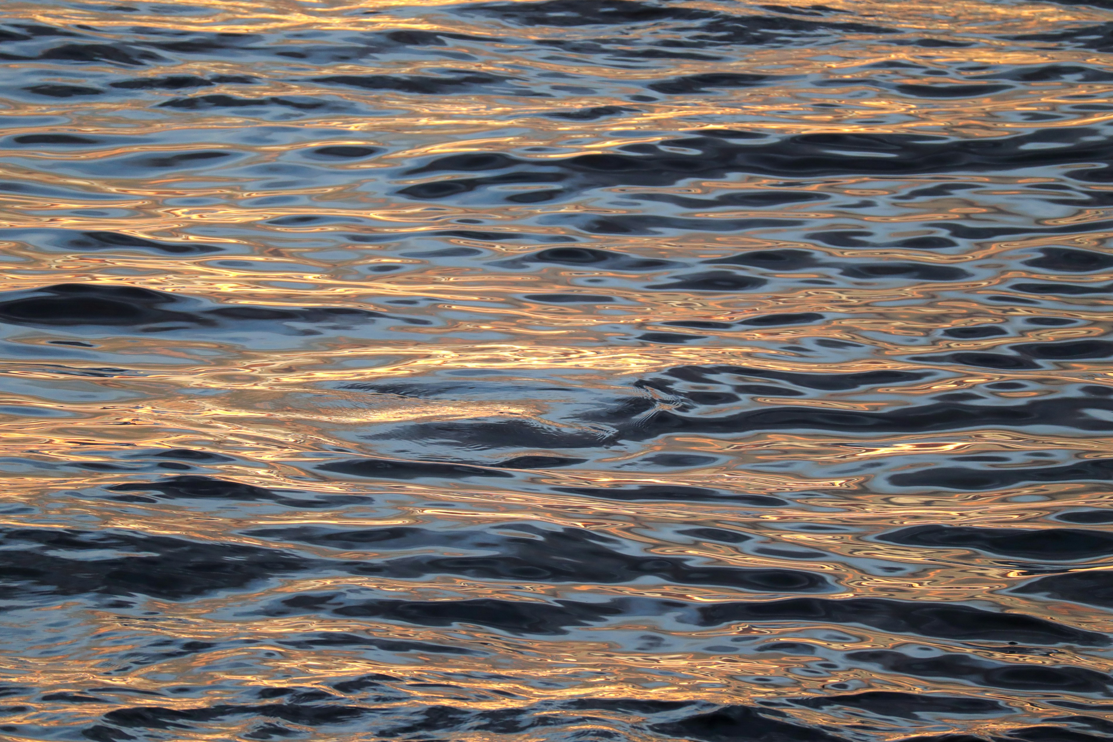 Photo by little_plant