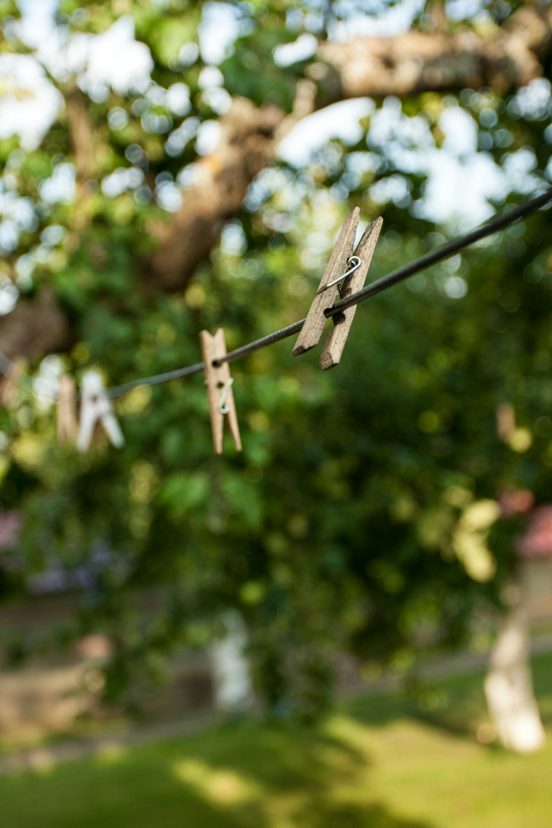 brown clothes pin on black wire