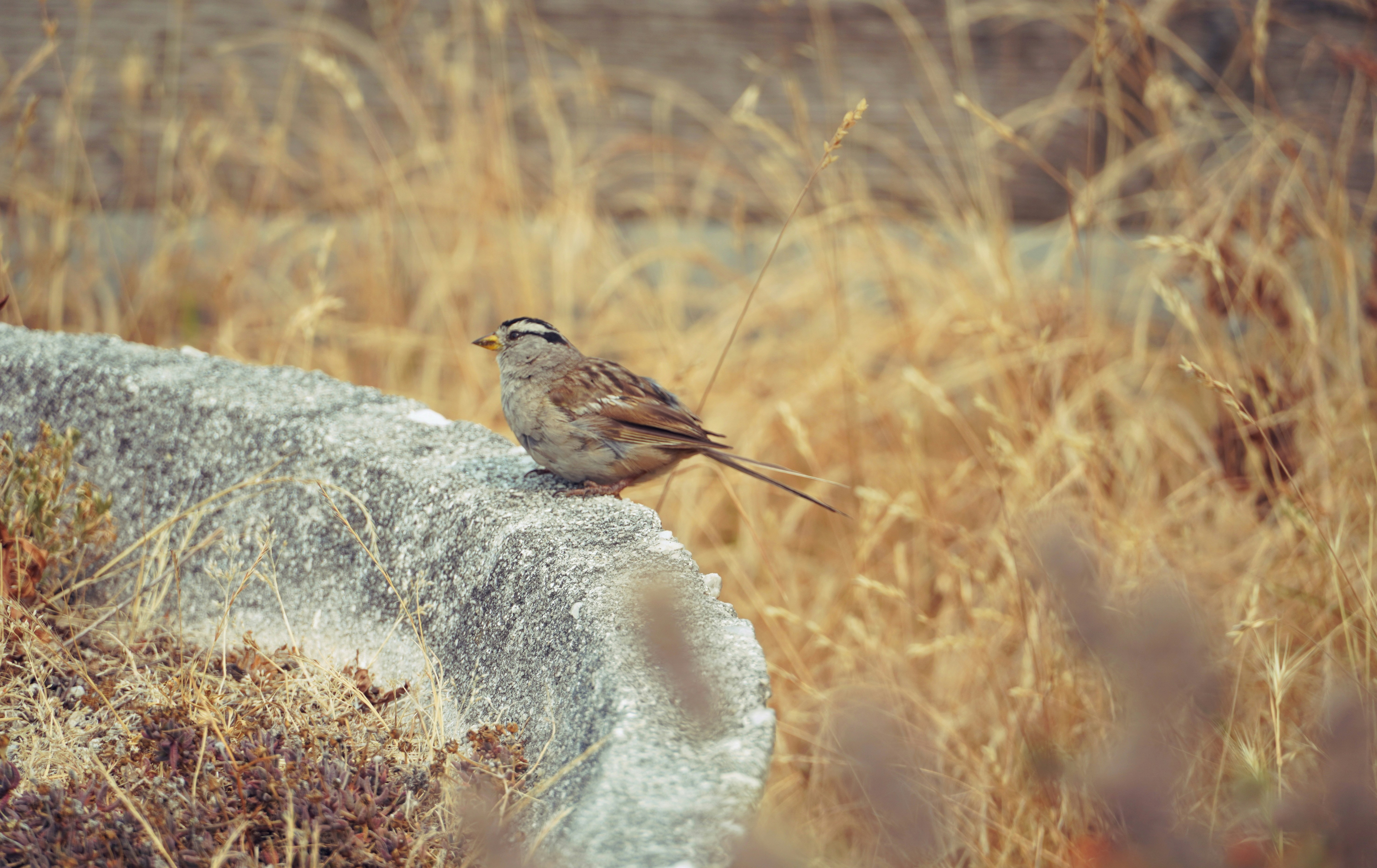 Photo by meinayin
