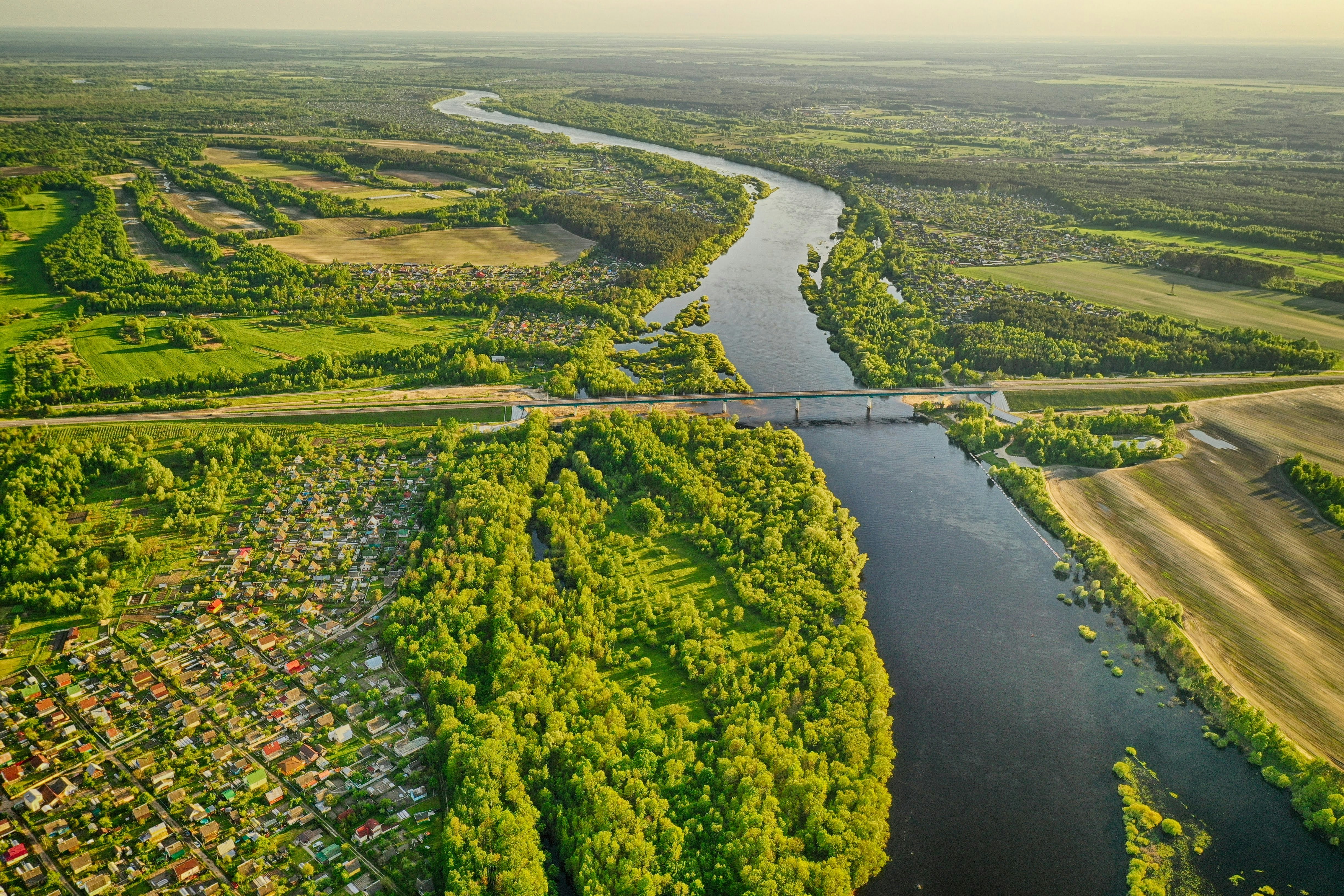 aerial view of green trees and river