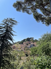 A peaceful view of Oru village surrounded by lush green forests and clear skies