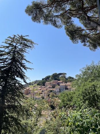 A peaceful view of Oru village surrounded by lush green forests and clear skies