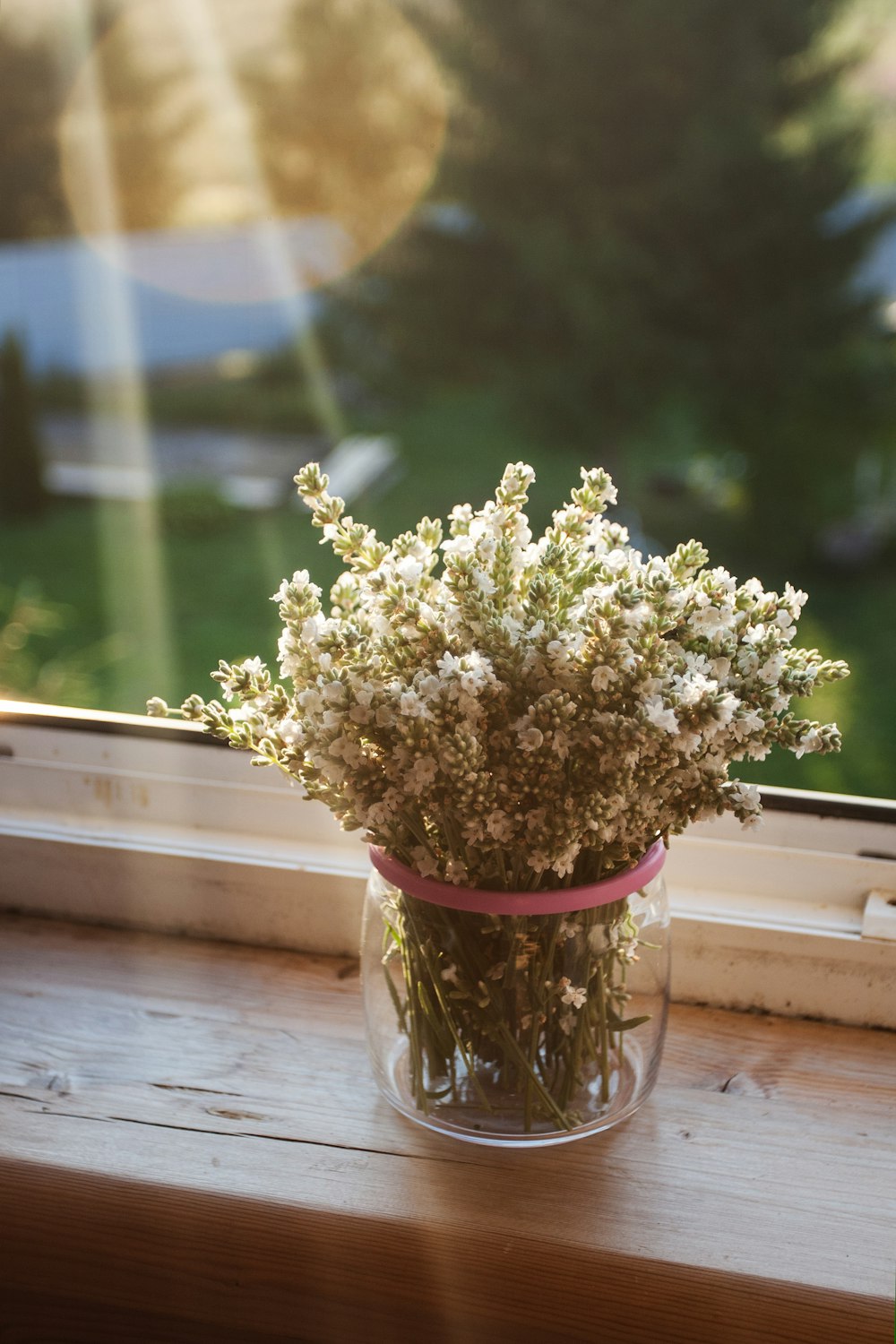 yellow flowers in clear glass vase