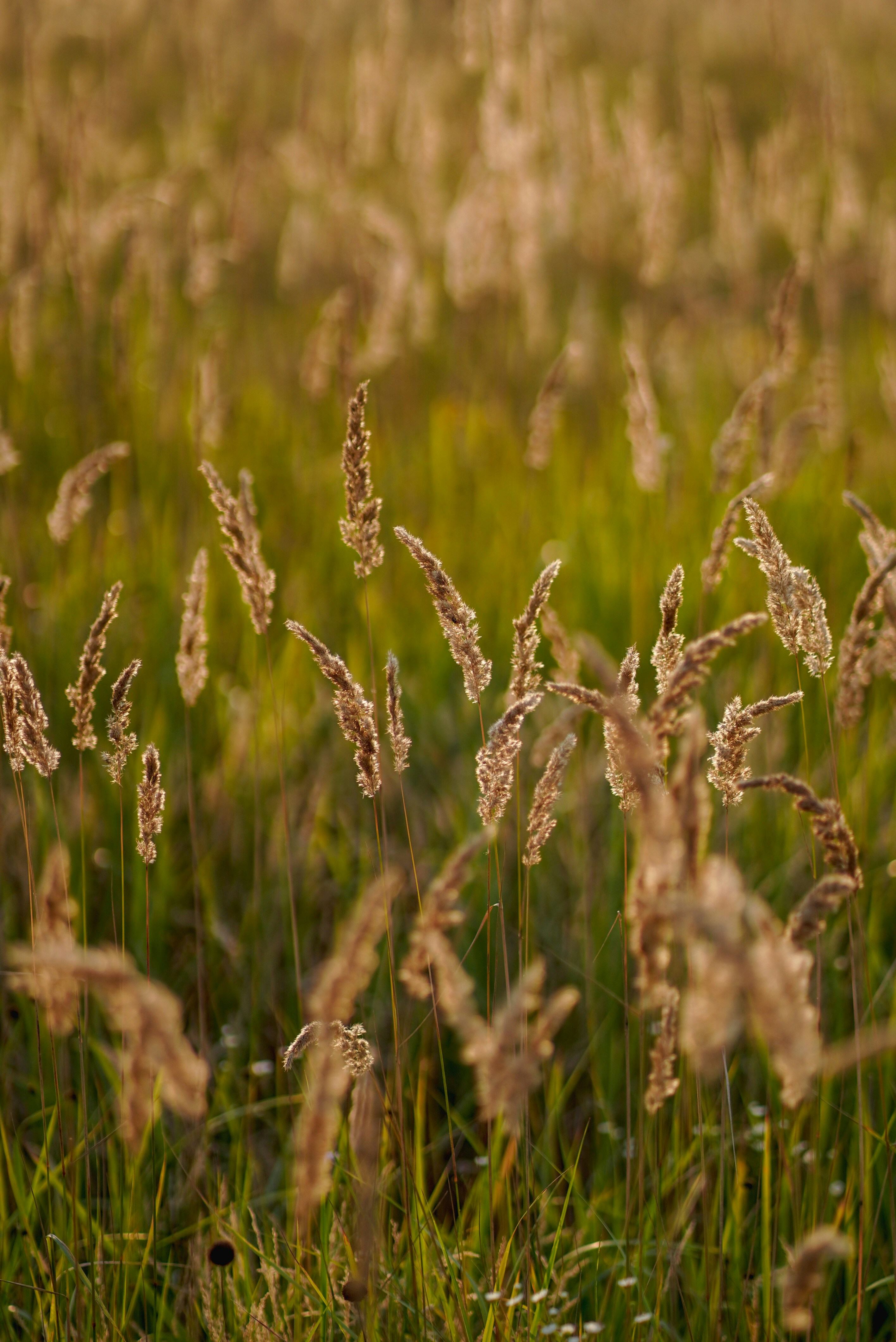 Photo by annabell_flem