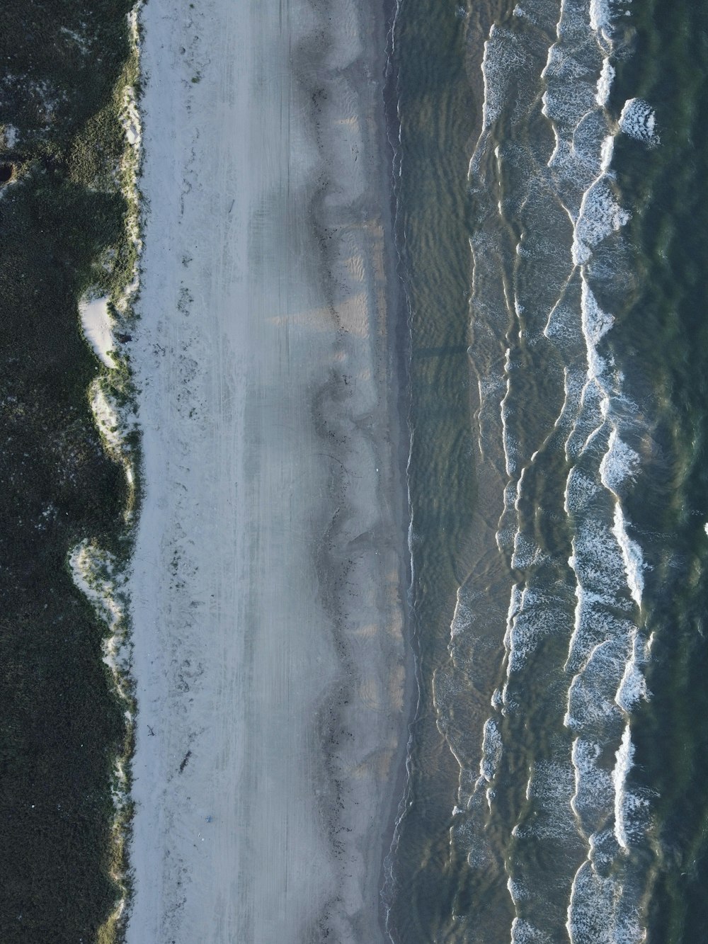 Veduta aerea di alberi verdi e specchio d'acqua durante il giorno