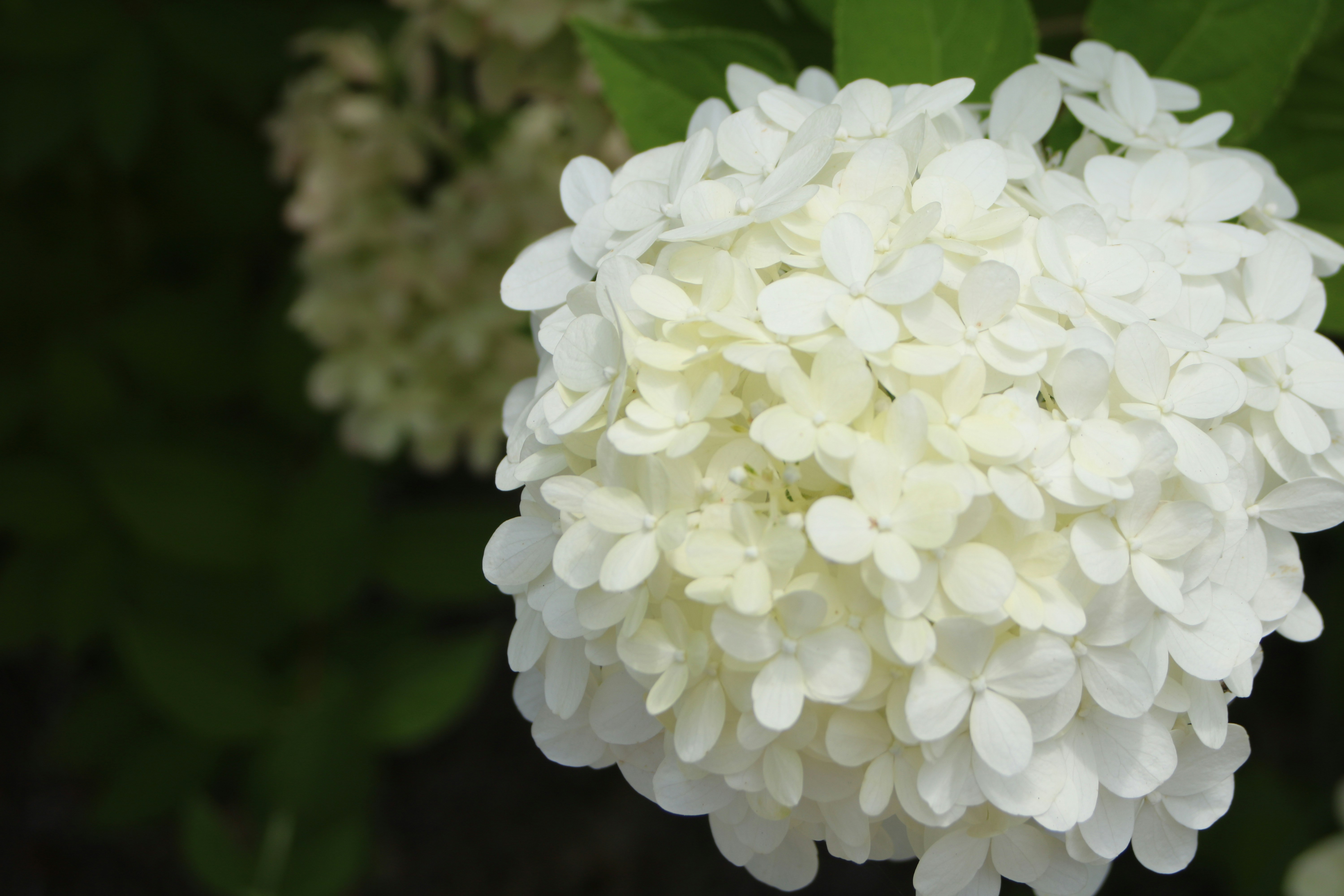 Photo by free_indeed_john8_36