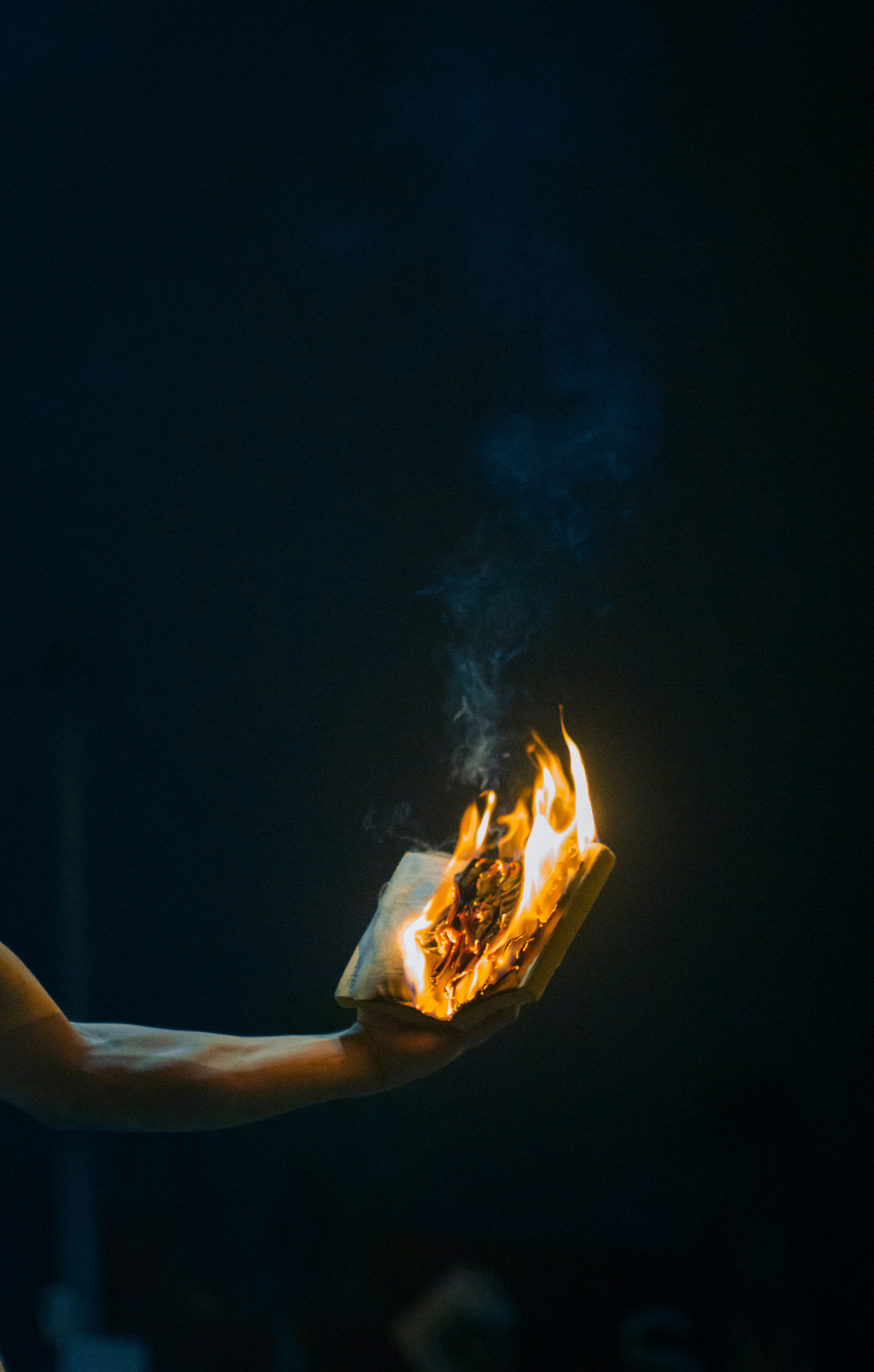 Photo by fethibenattallah