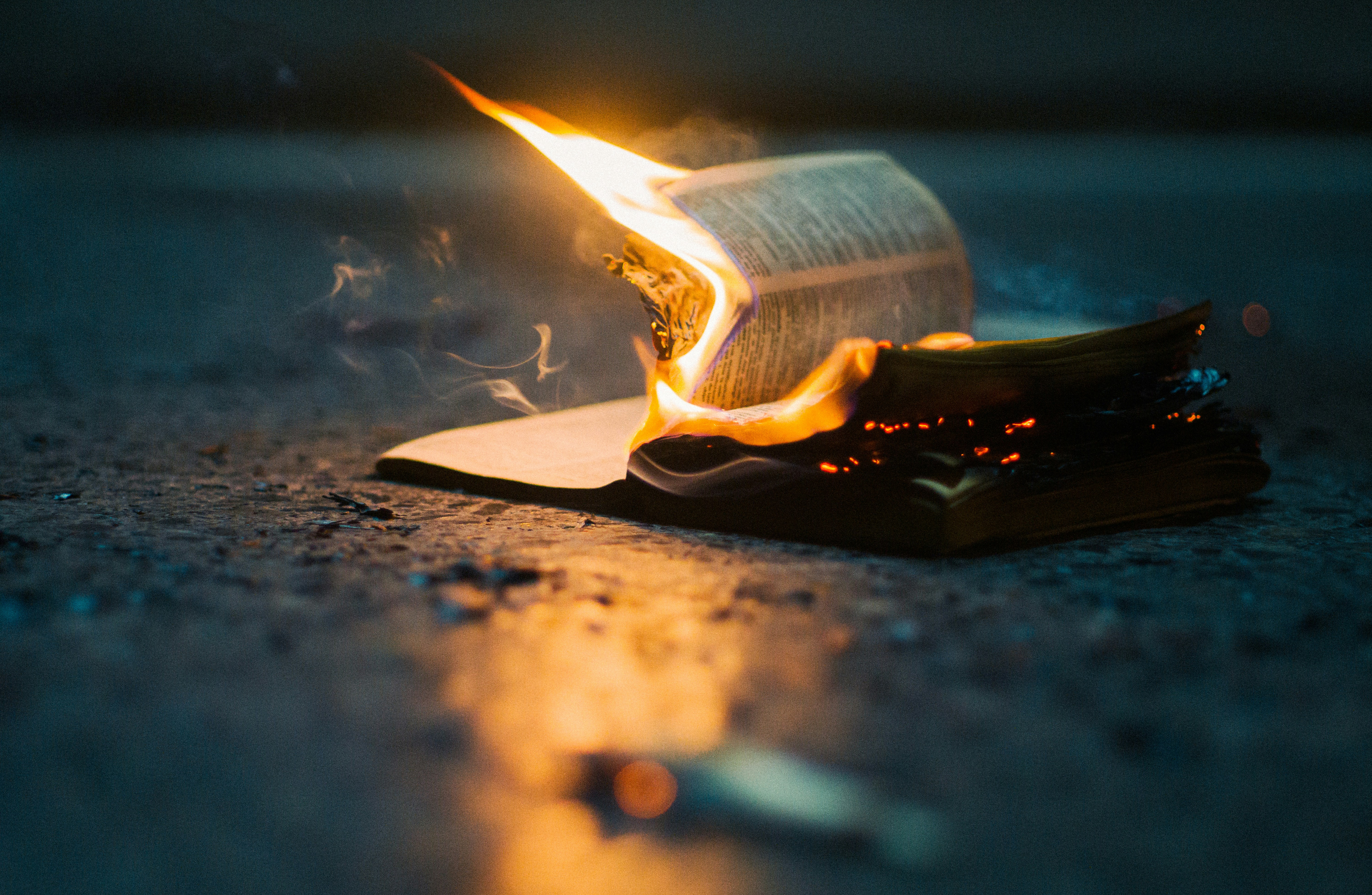 white book on black and white surface