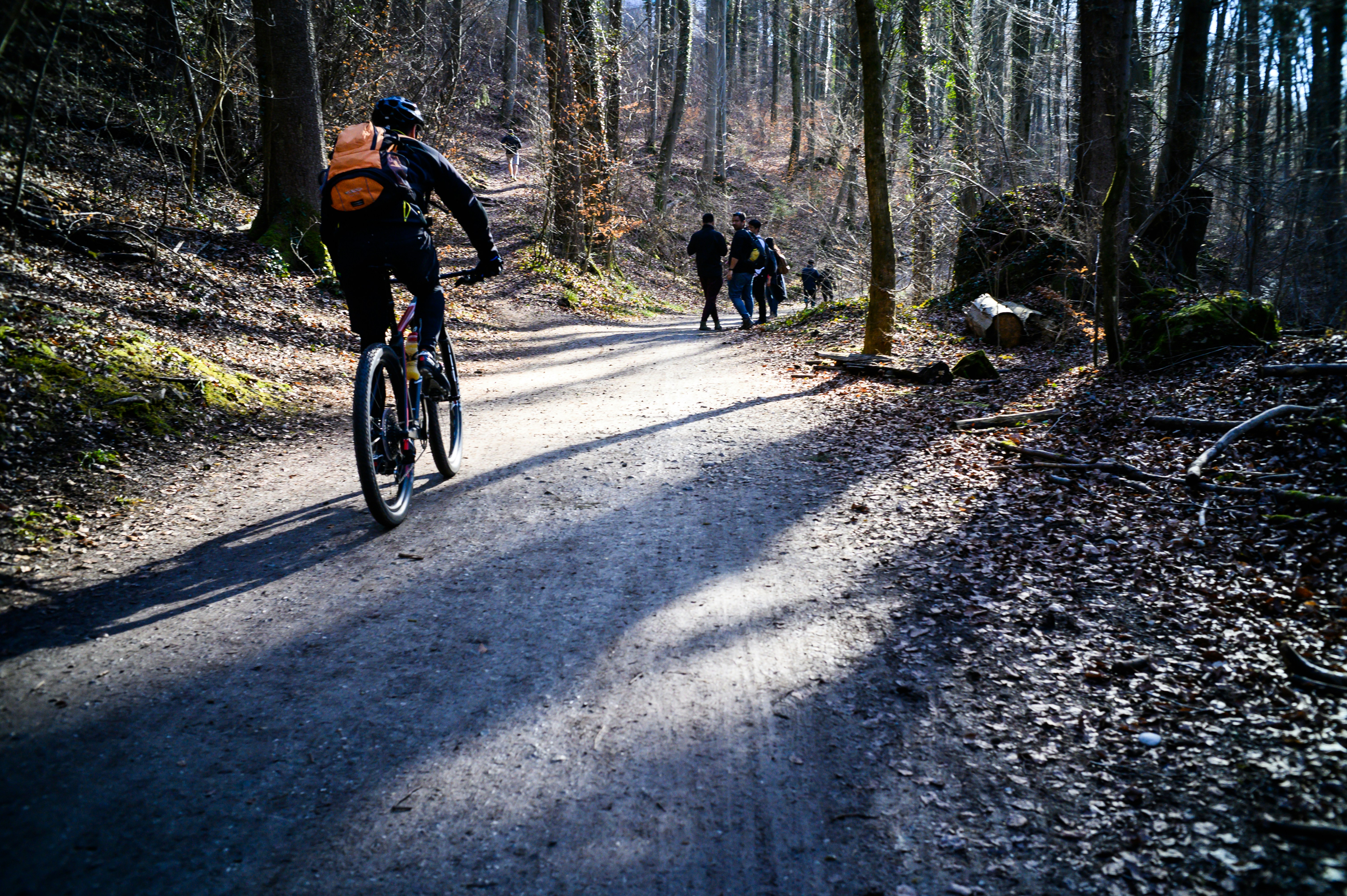 2 men riding bicycle on road during daytime