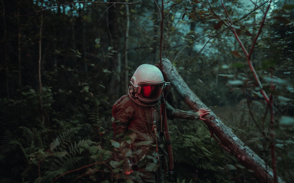 person in brown and black camouflage jacket wearing white helmet standing on brown tree branch during