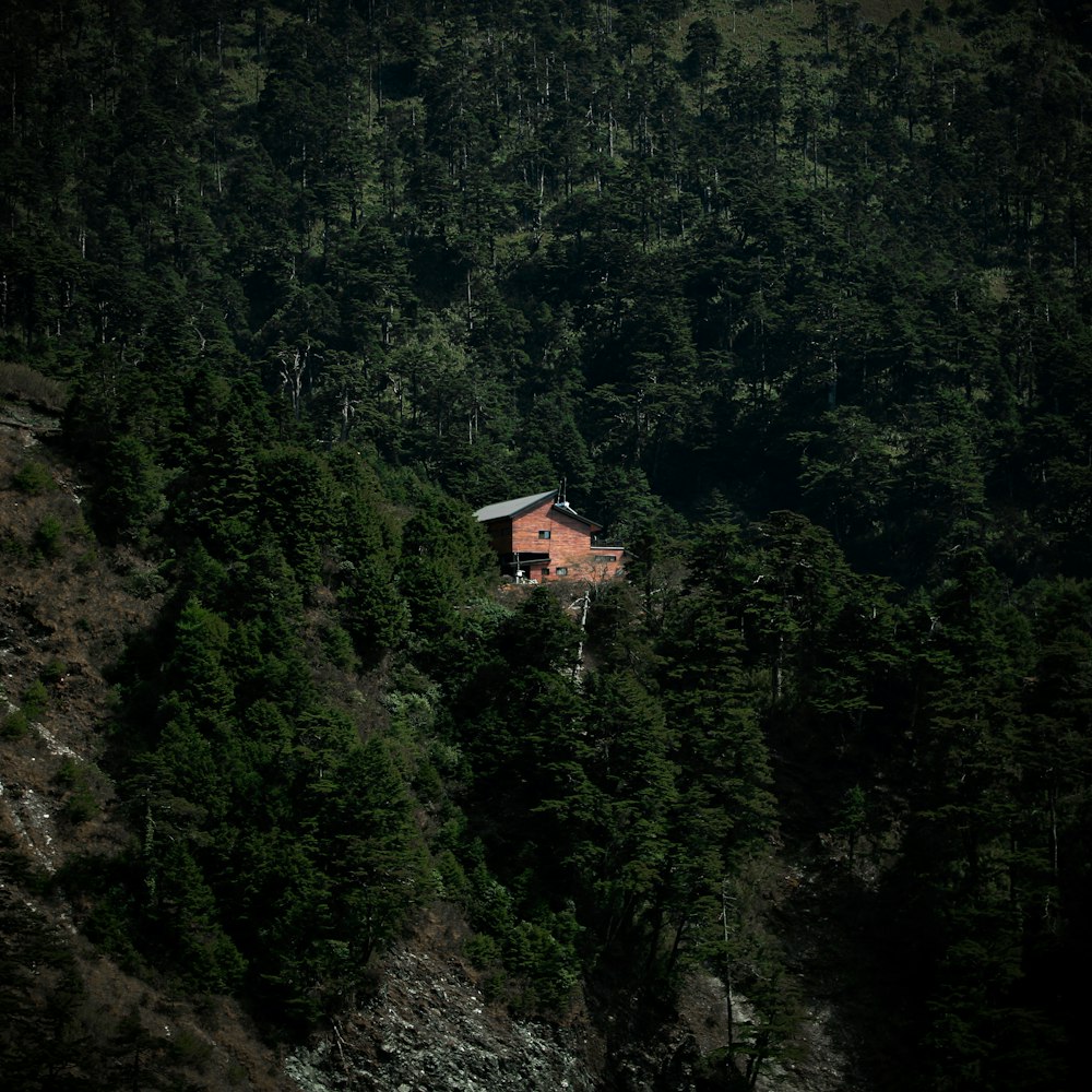 brown and white house on top of mountain