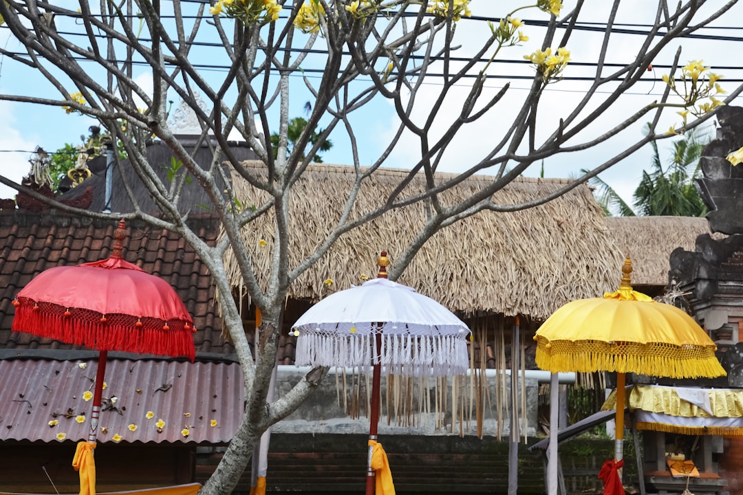 red and white umbrella near brown wooden house