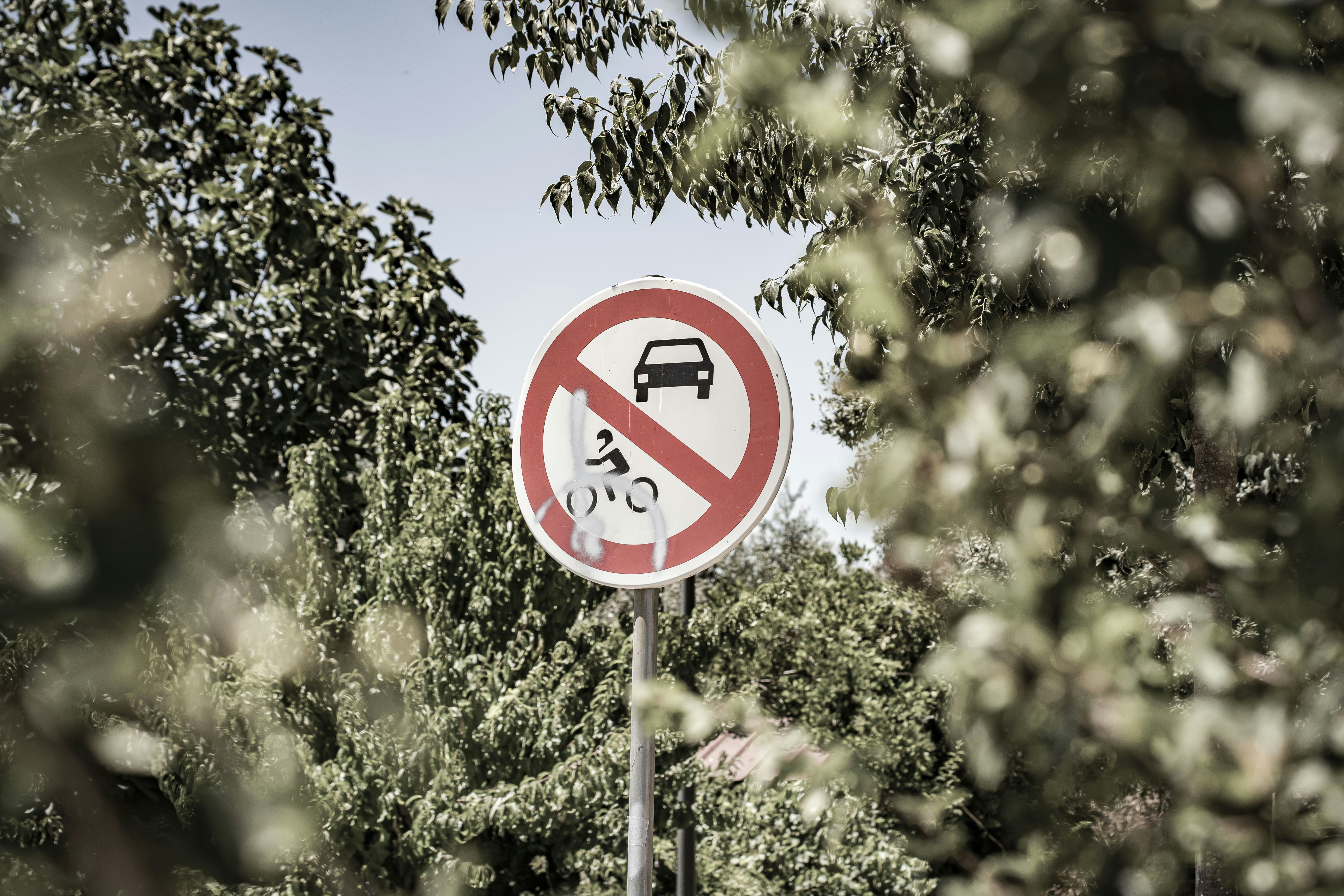 Photo by anaquelhasphoto