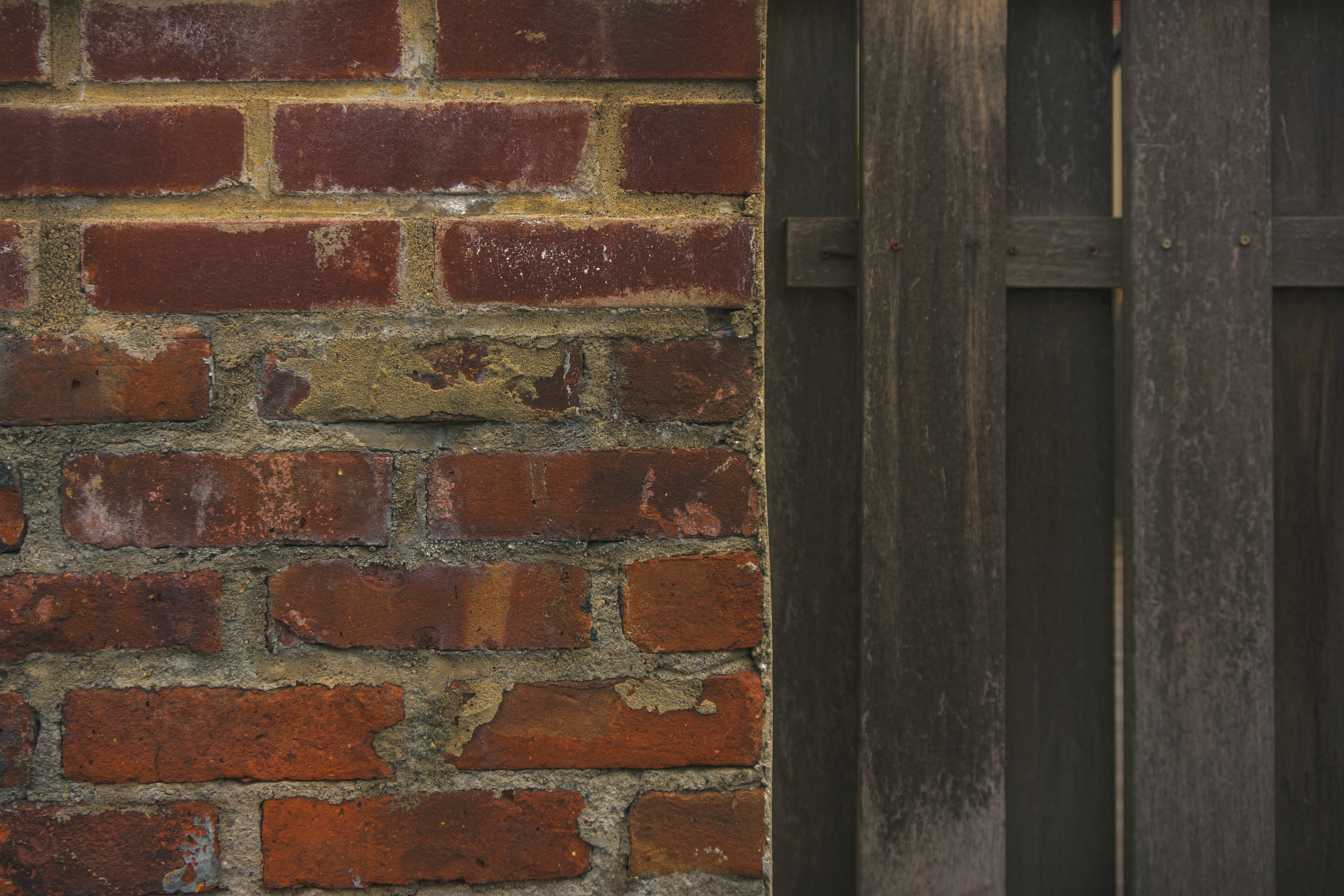 brown wooden door beside red brick wall