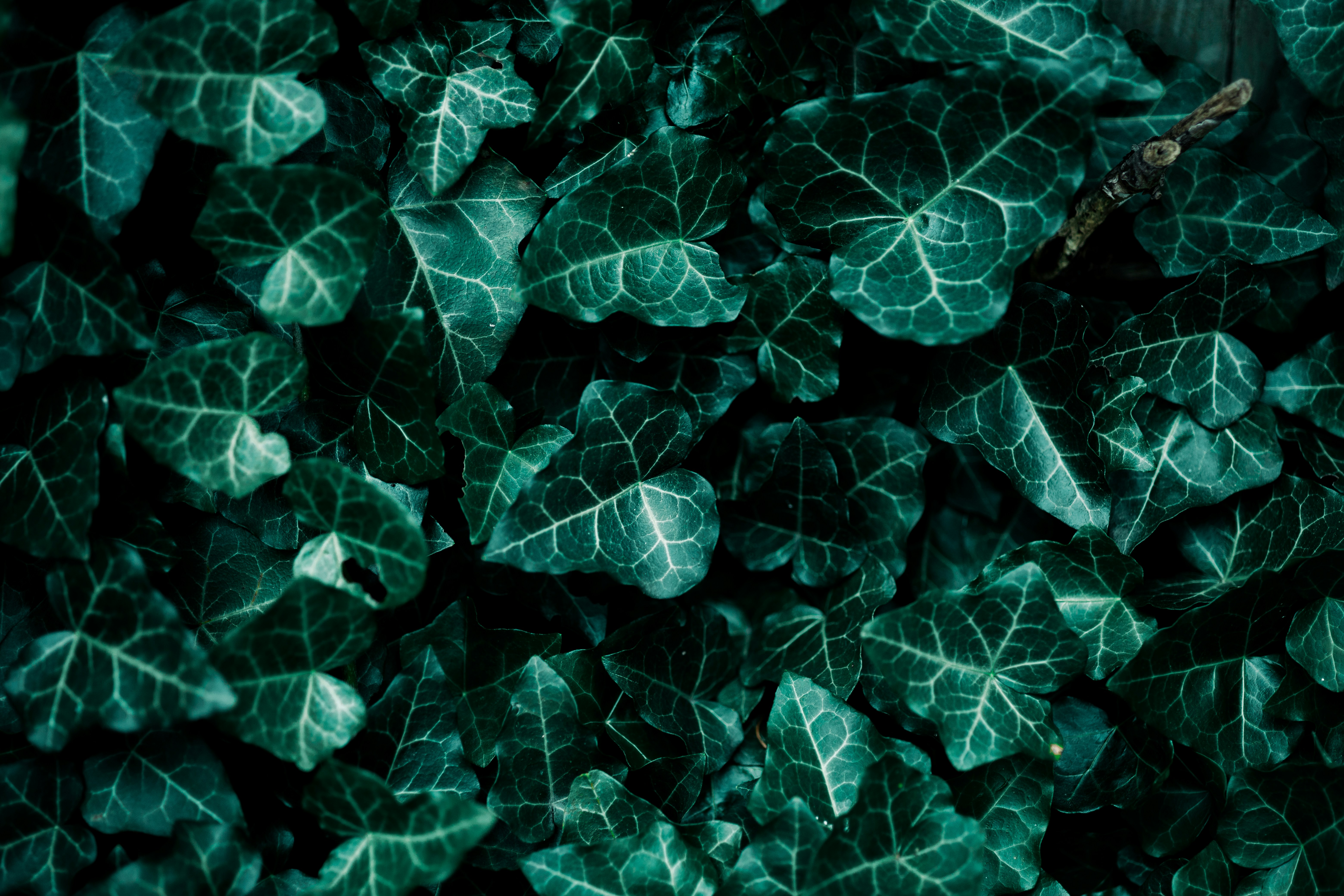 Photo by jeremyhrvtn