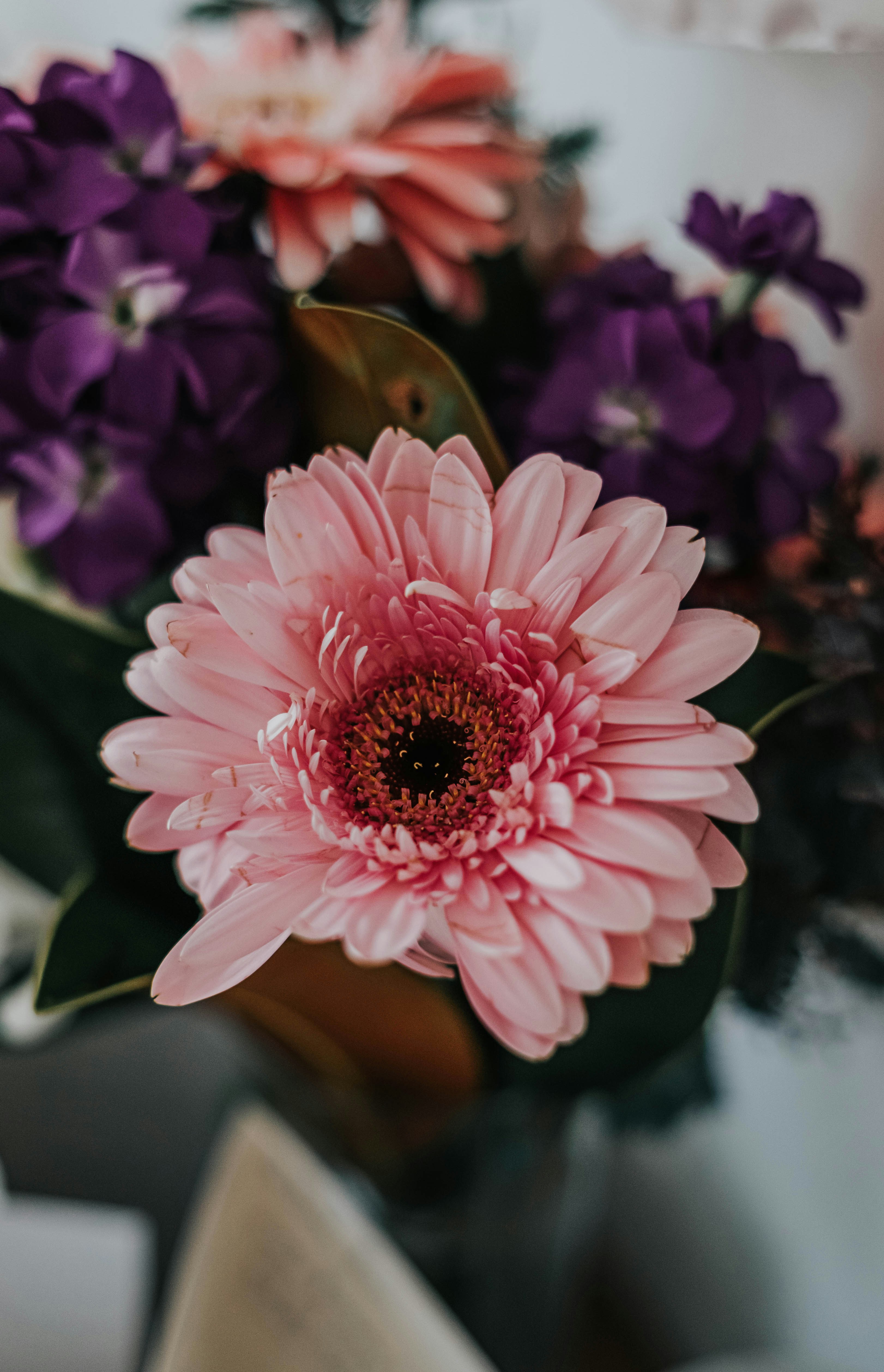 Photo by annie_dogger