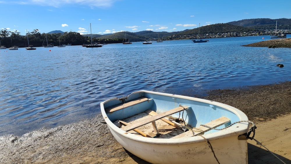 white and brown boat on shore during daytime