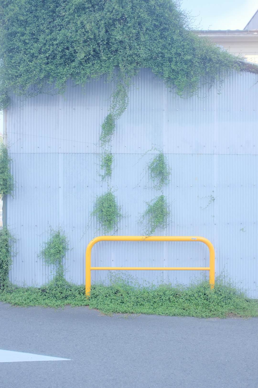 white and yellow metal fence