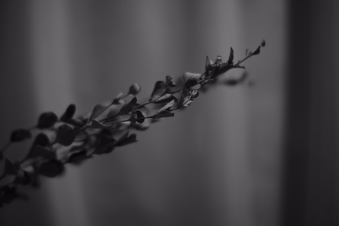 black and white plant stem