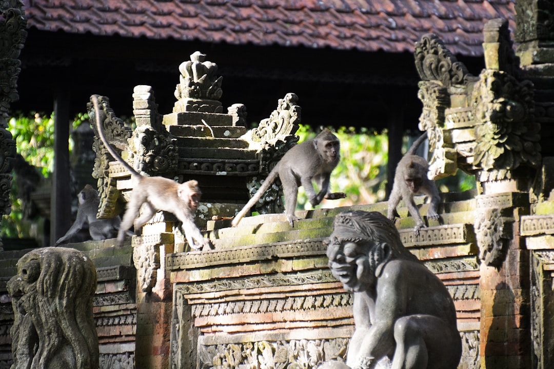 three gray monkey statue on brown concrete wall