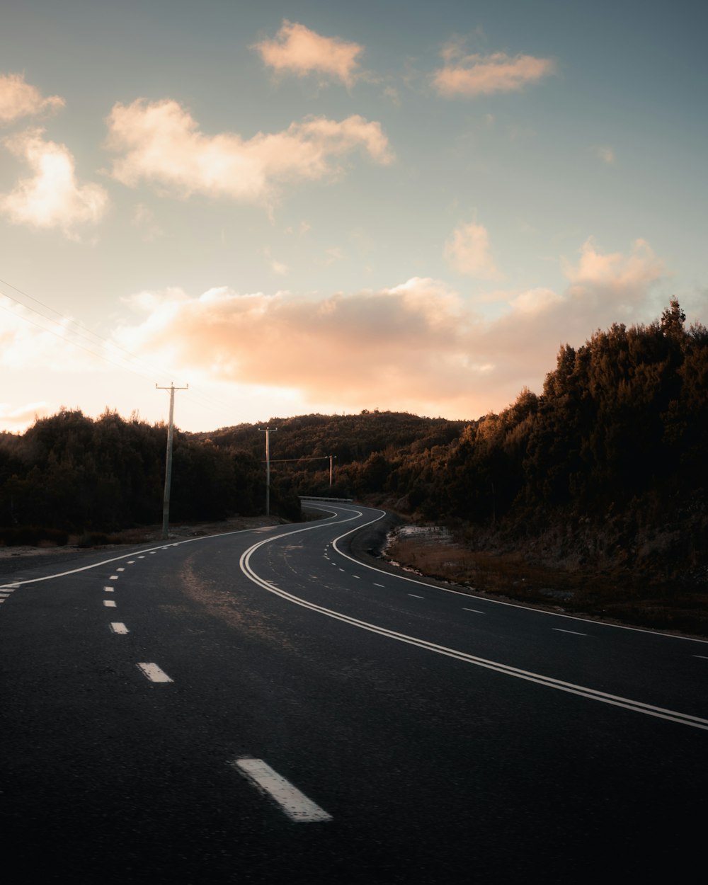 black asphalt road between trees during sunset