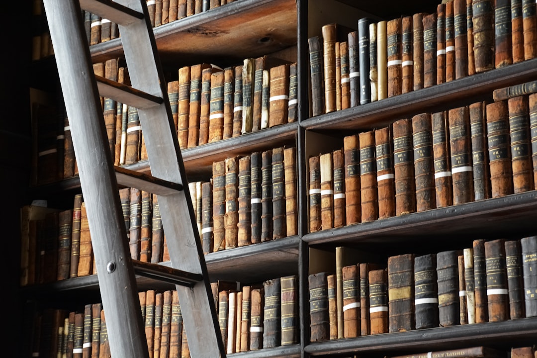 brown wooden book shelves with books