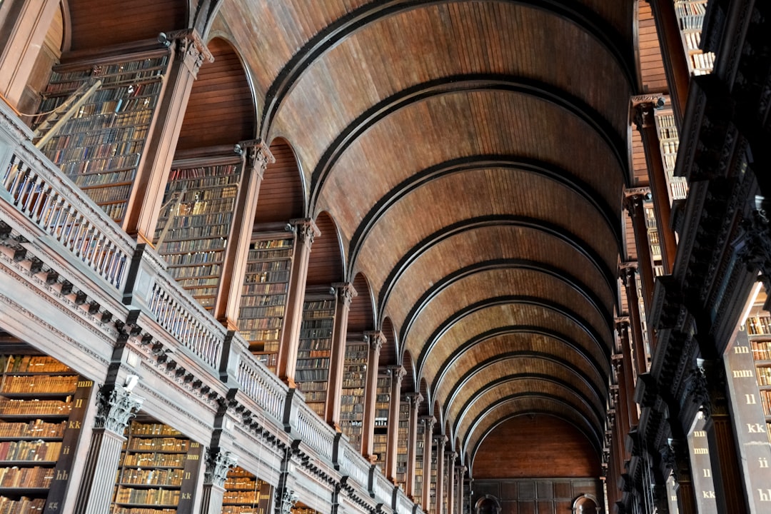 brown wooden book shelves in a library