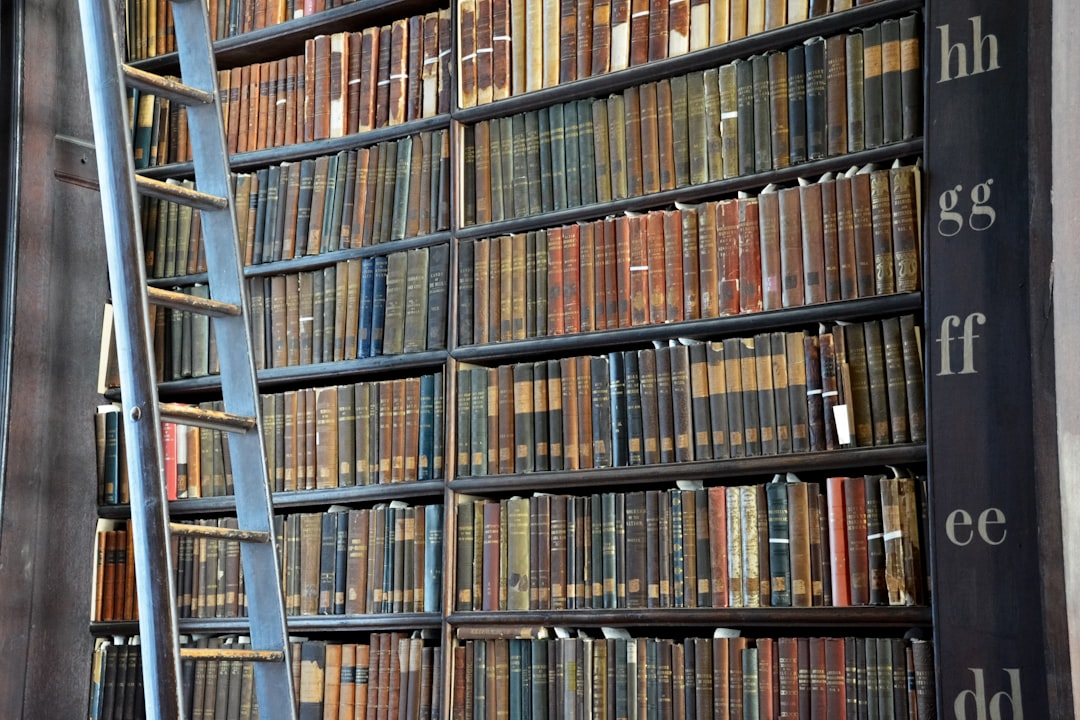 brown wooden book shelves with books