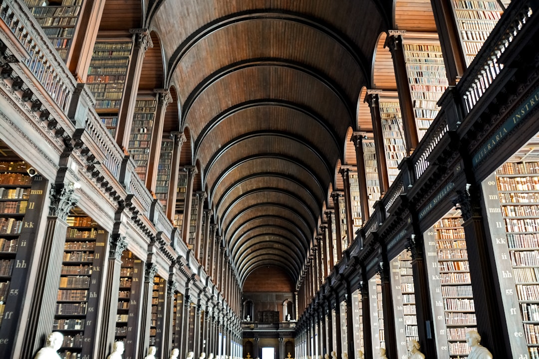 brown wooden book shelves in library