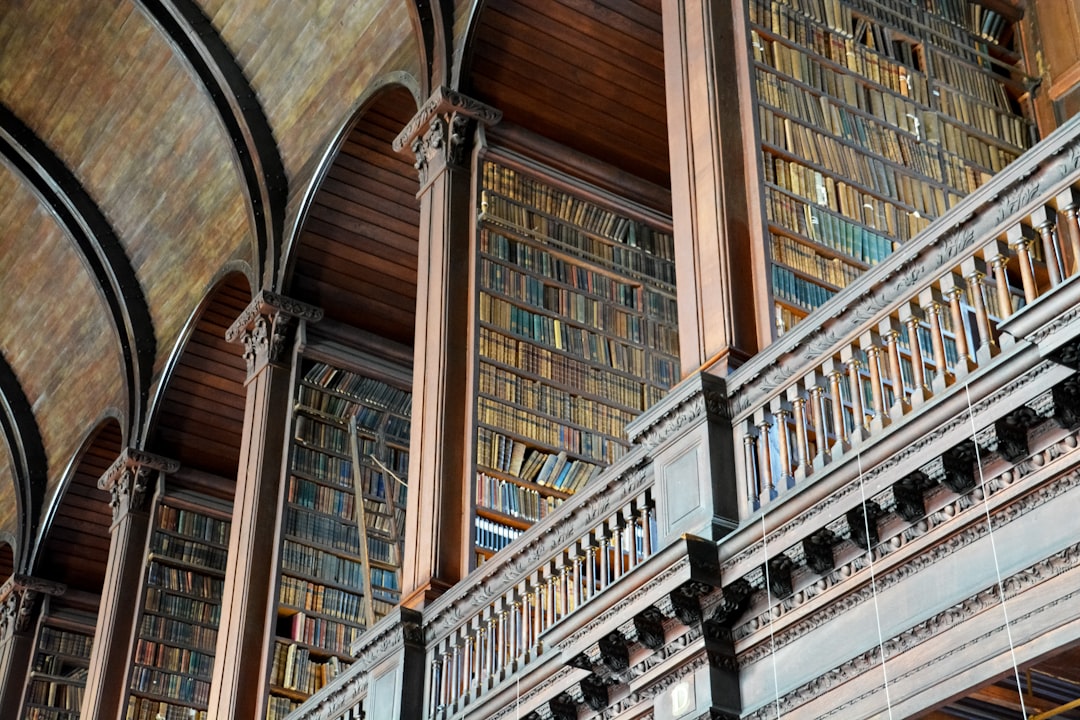 brown wooden book shelves in library