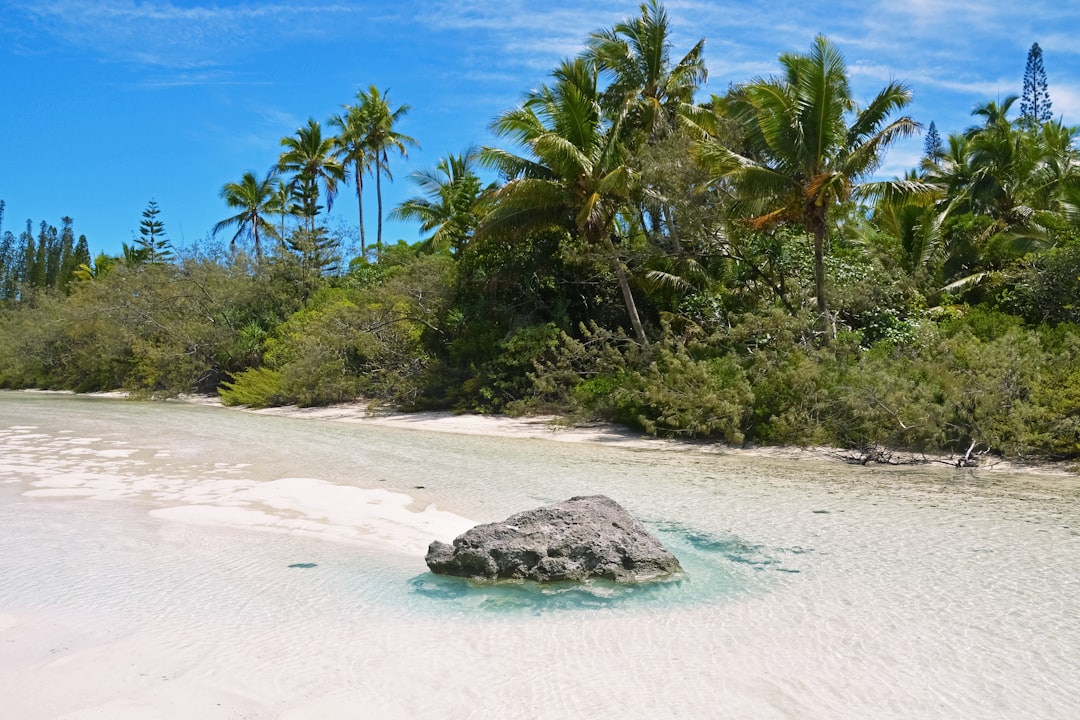 green palm trees on white sand beach during daytime