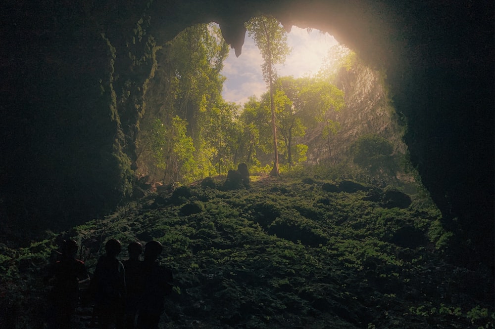 silhouette of people standing on rock formation during daytime