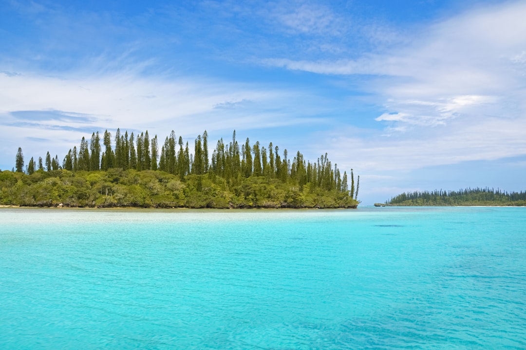 green trees beside blue sea under blue sky during daytime