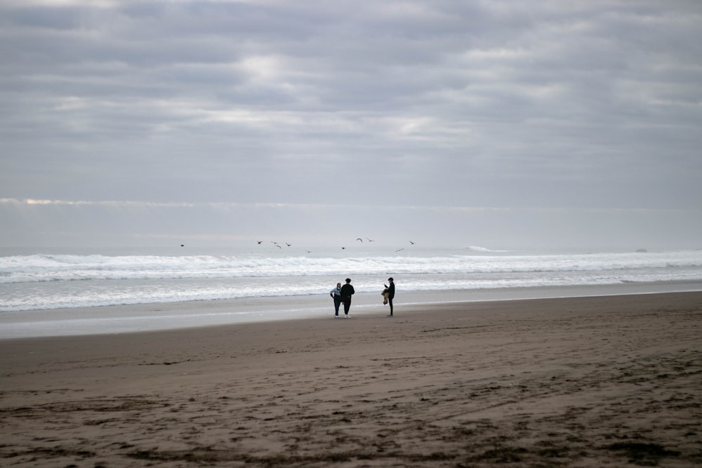 2 people walking on beach during daytime