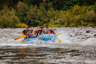 people riding on blue kayak on river during daytime