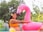 woman in orange bikini top holding pink inflatable flamingo