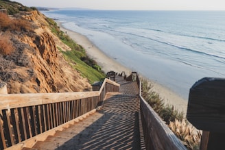 brown wooden bridge on beach during daytime