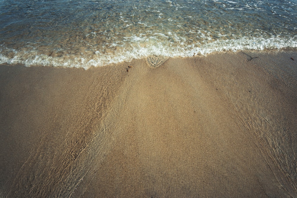 brown sand beach during daytime