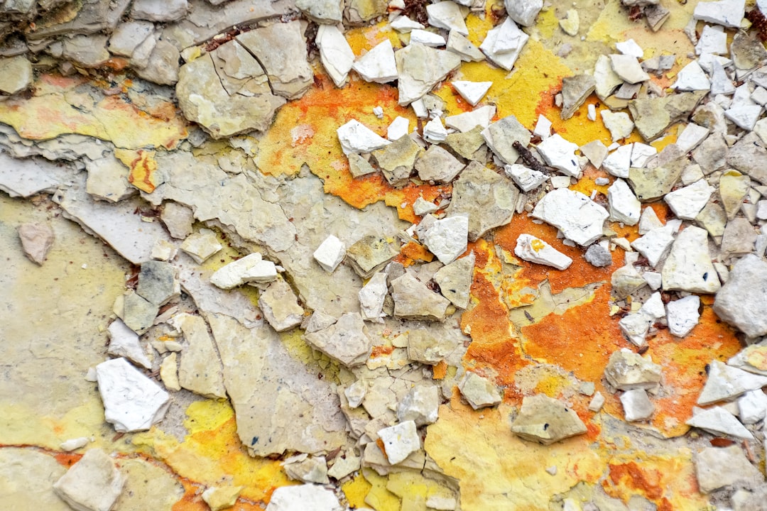 brown and white leaves on gray stone