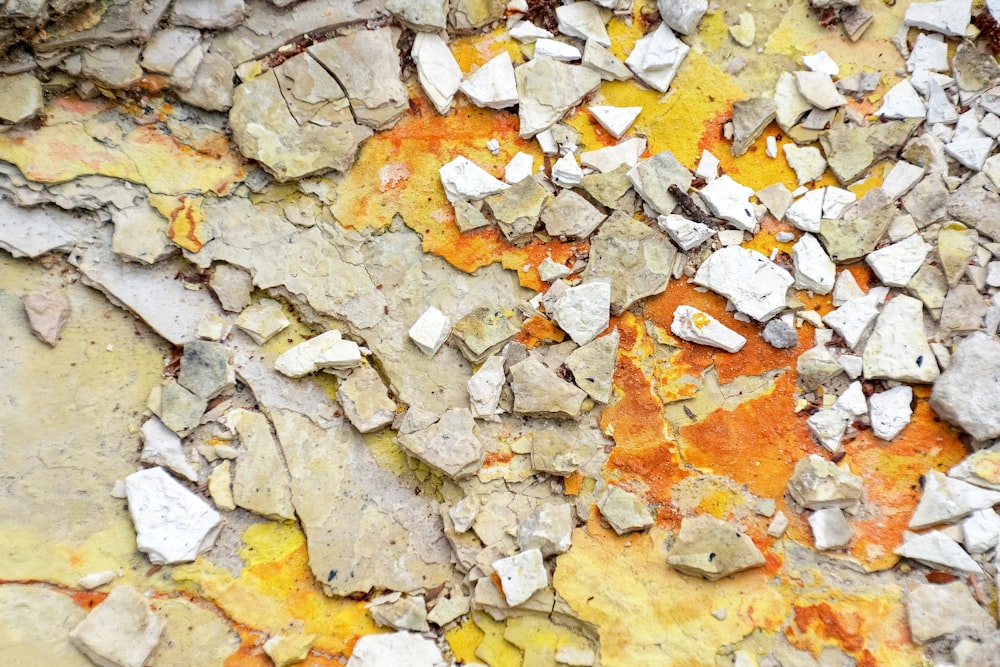 brown and white leaves on gray stone
