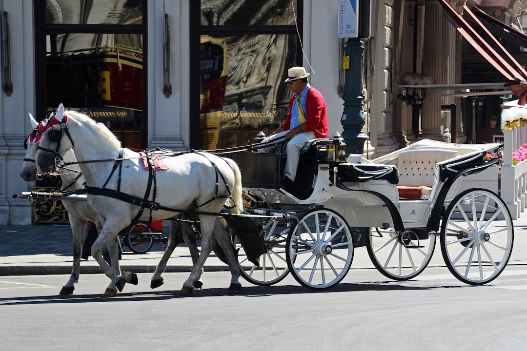 man in red jacket riding white horse carriage during daytime