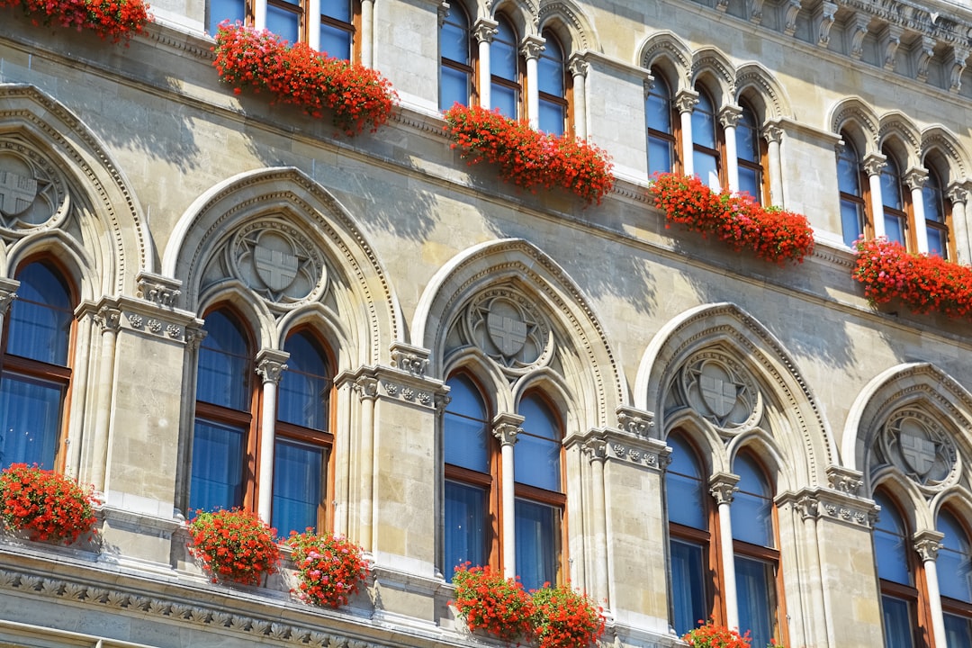 grey concrete building with orange flowers on window