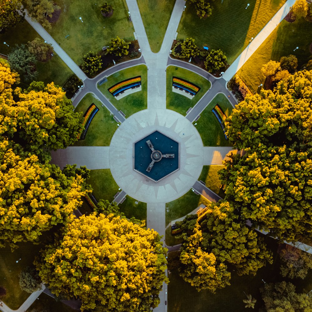 gelbe Blüten mit grünen Blättern