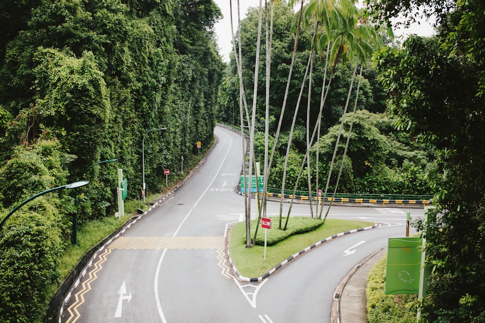 gray concrete road between green trees during daytime