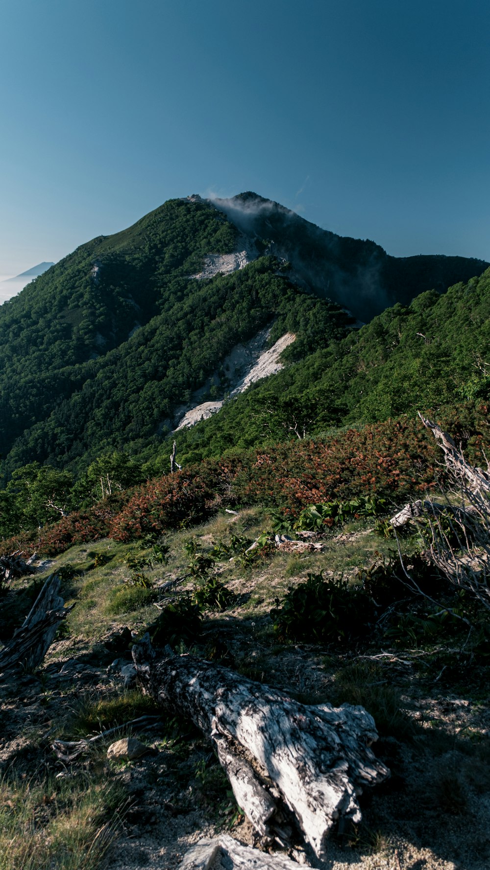 green grass covered mountain during daytime