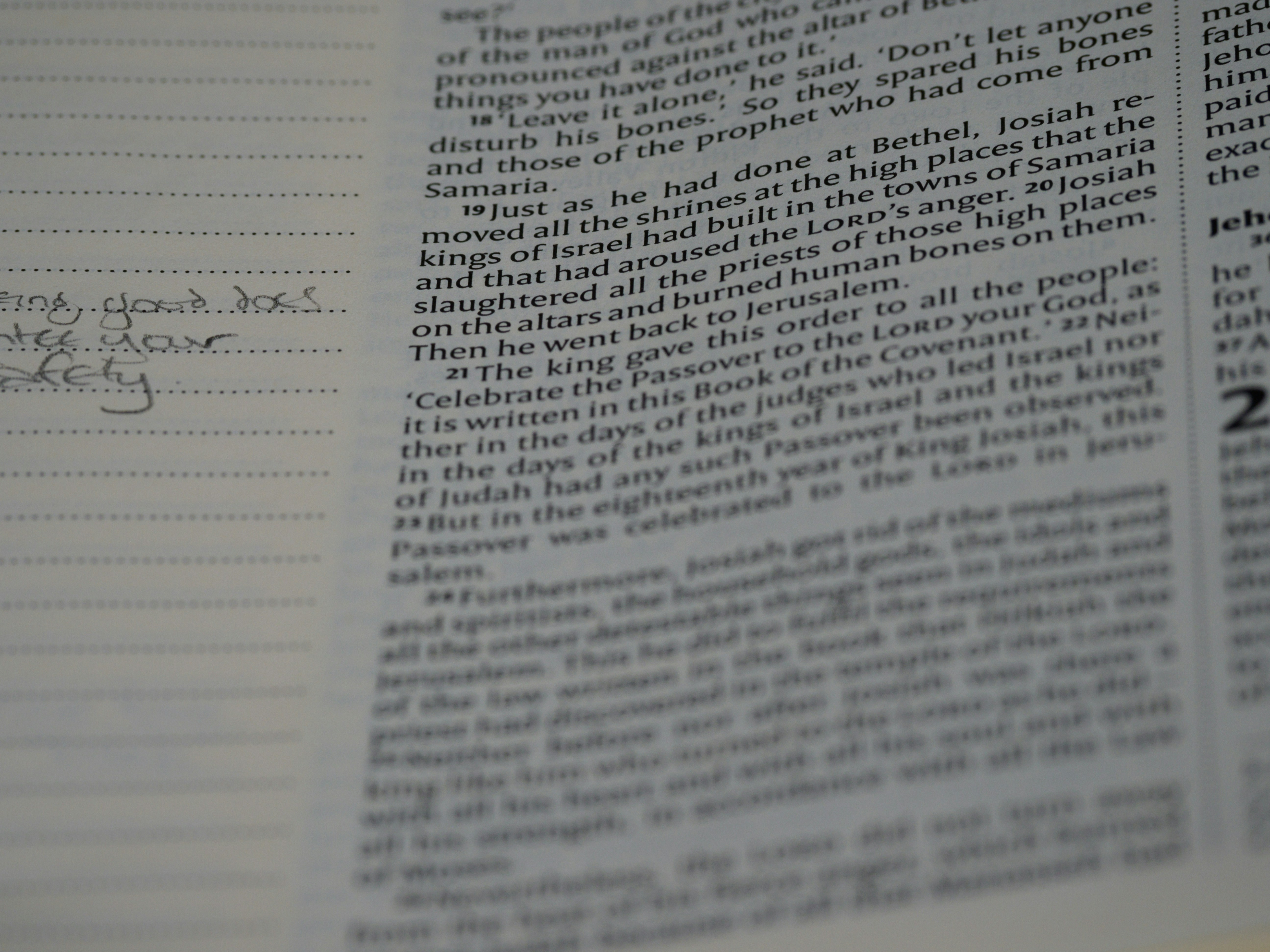 Photo by brett_jordan