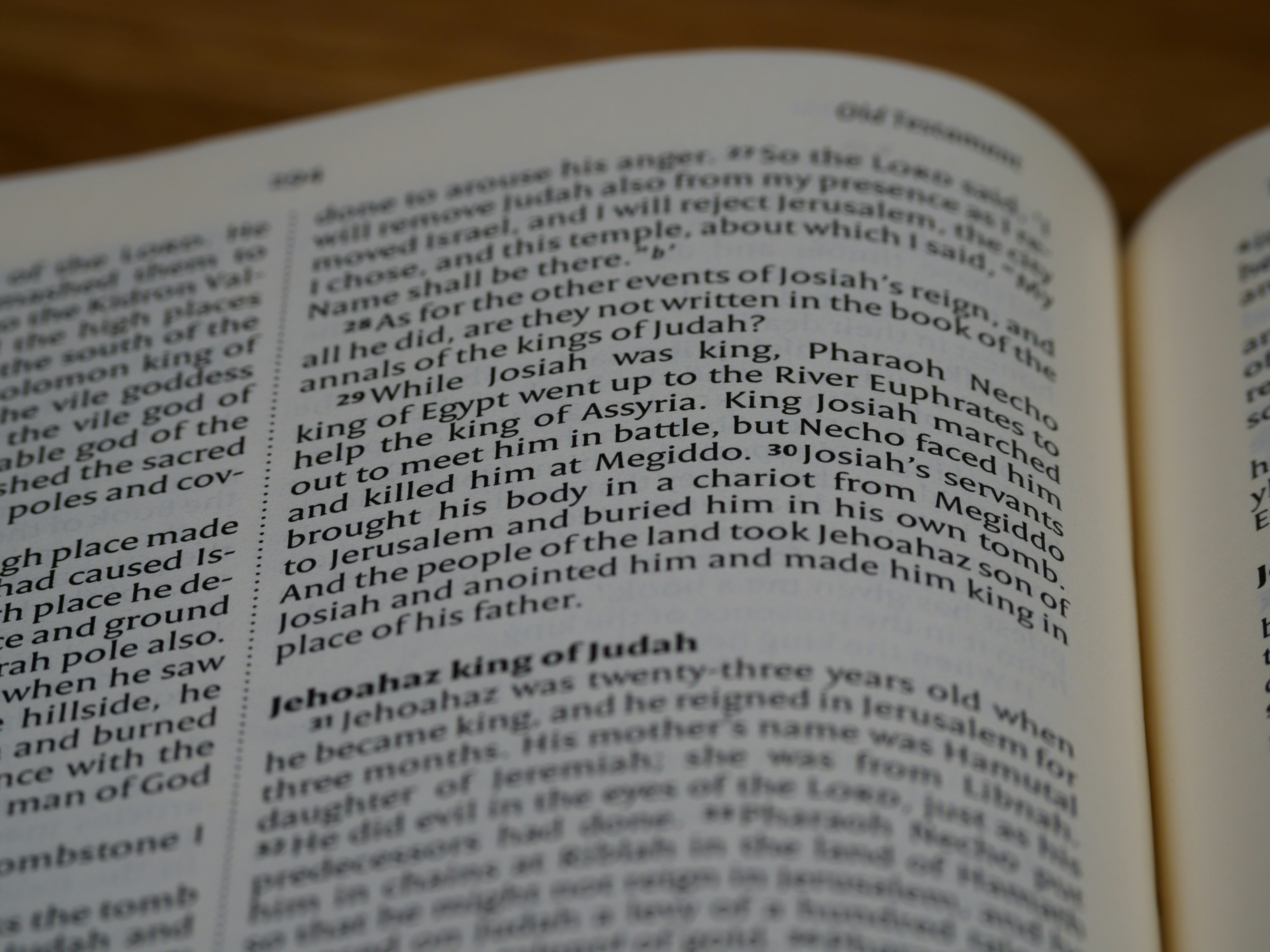 Photo by brett_jordan